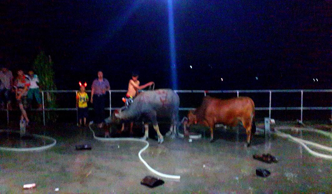20140928_195651.jpg
