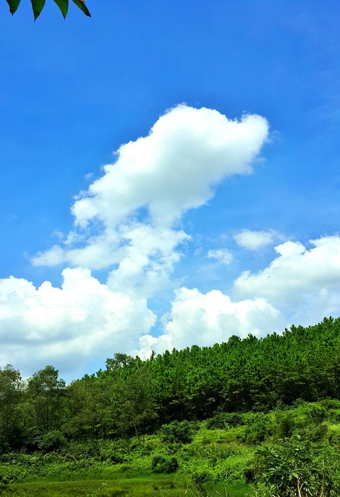 20140902_125816.jpg