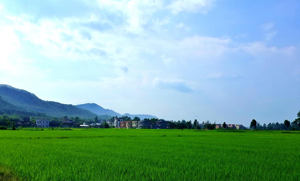 20140914_154223.jpg