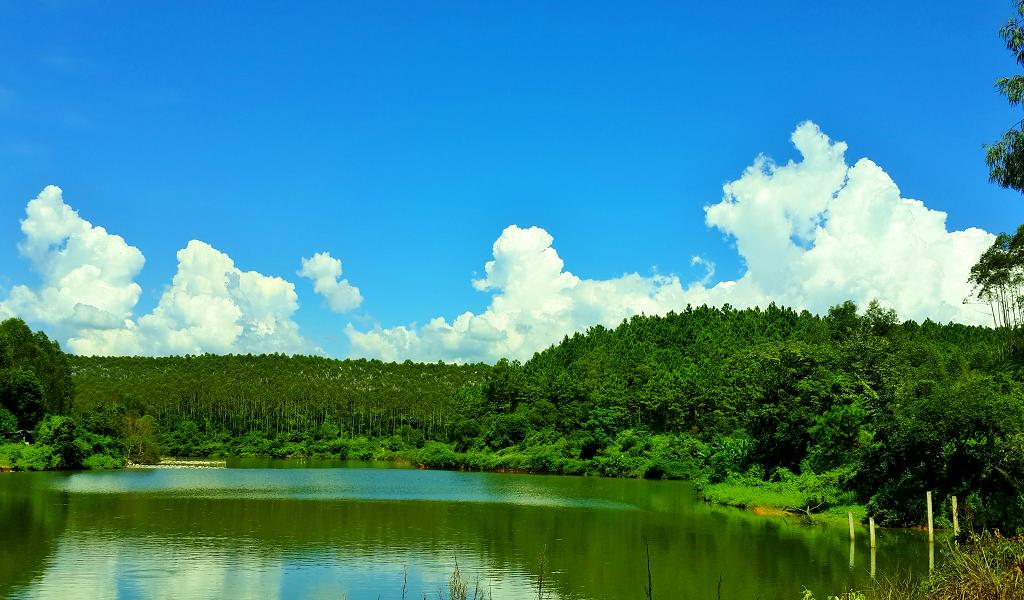 20140902_142241.jpg