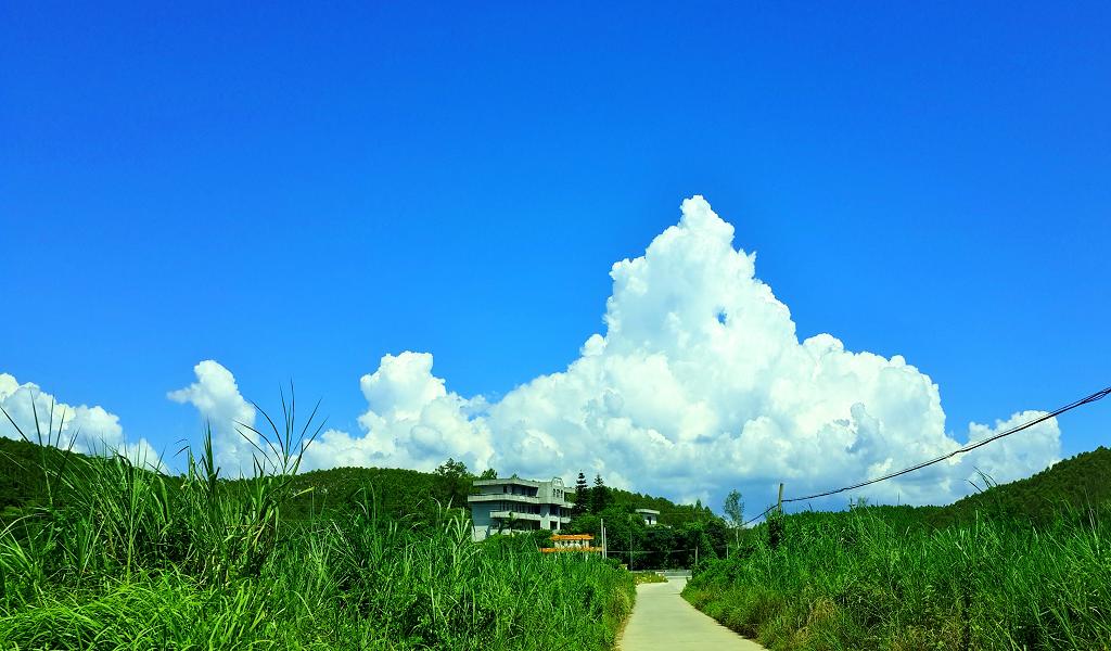 20140902_141957.jpg