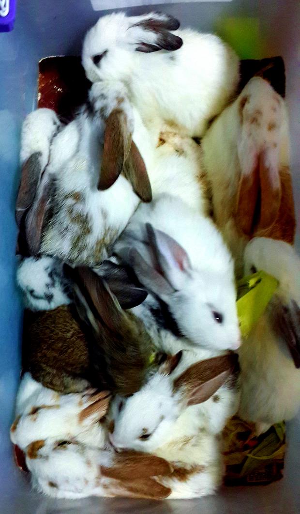 20140928_200436.jpg