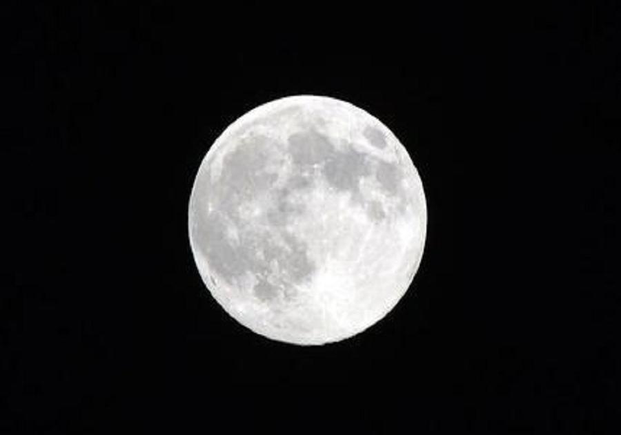 IMG_7049.JPG