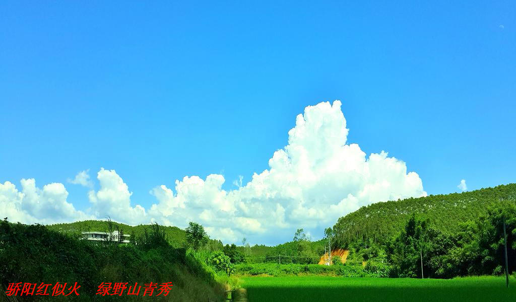 20140902_141700.jpg