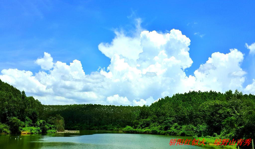 20140902_130018.jpg