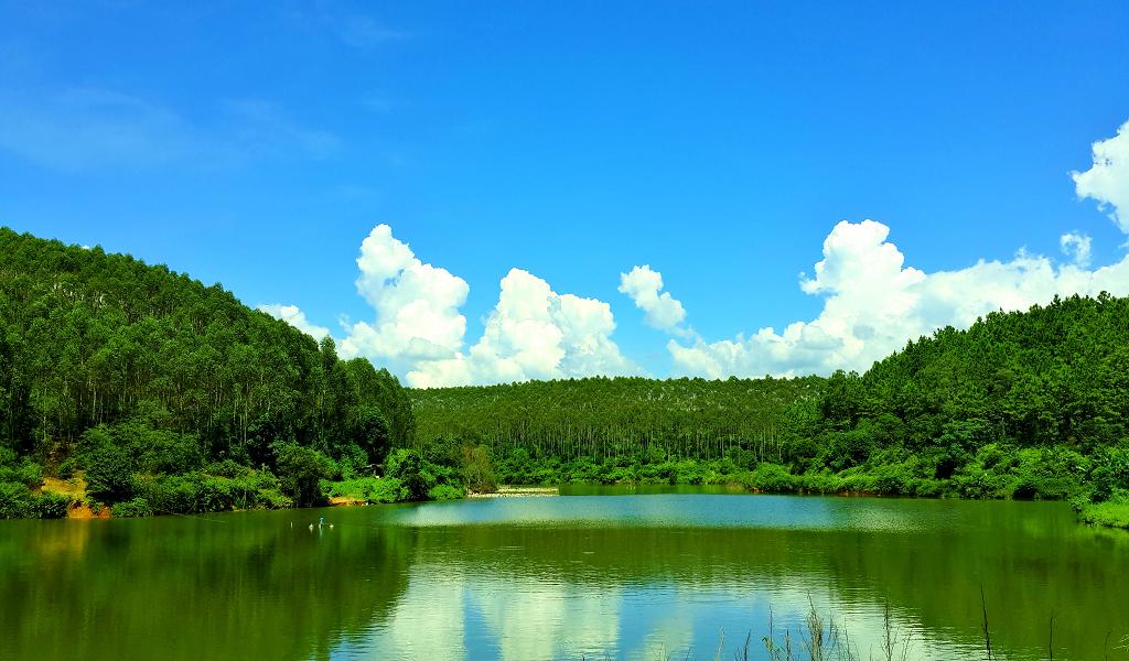 20140902_142223.jpg