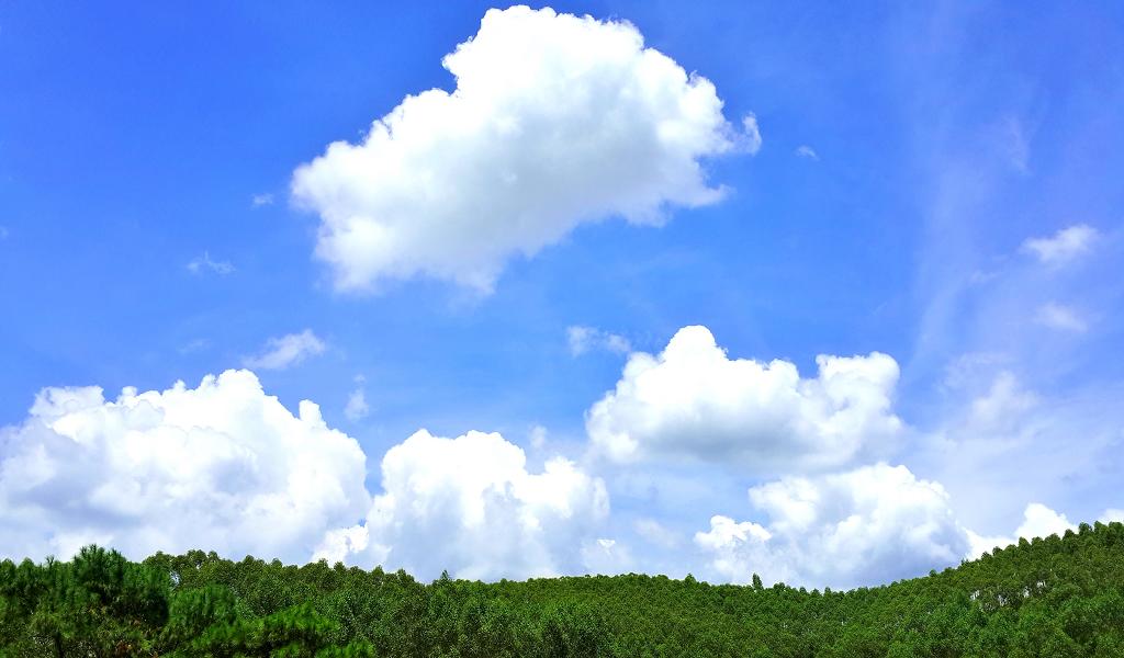 20140902_130007.jpg