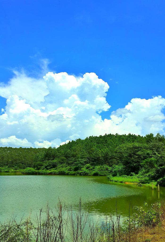 20140902_130042.jpg