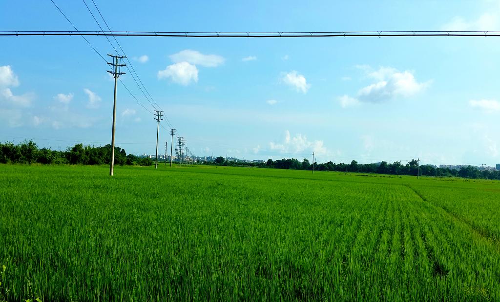 20140914_154230.jpg