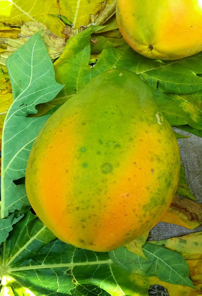 20140927_161741.jpg