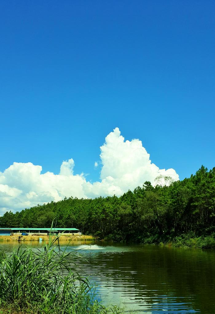 20140902_143059.jpg