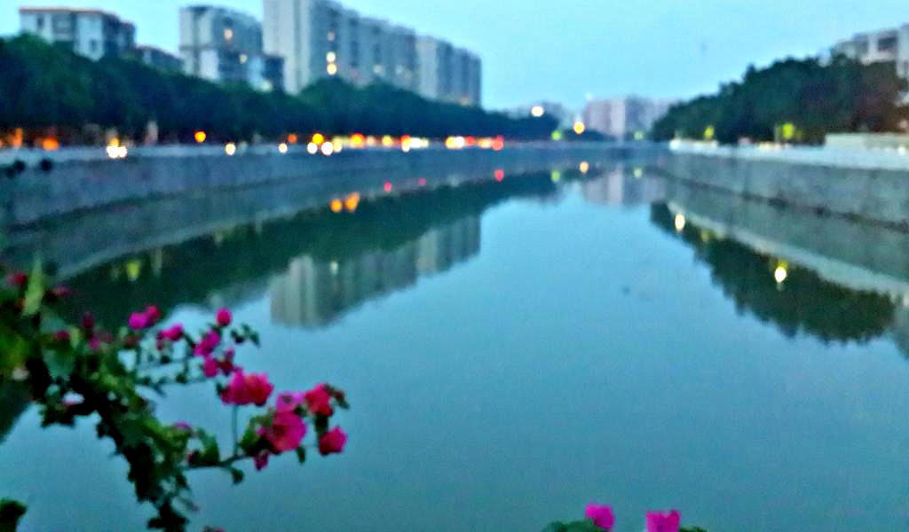 20140905_185746.jpg