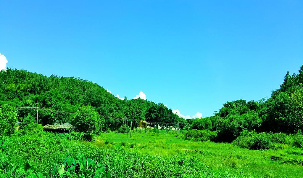20140902_142810.jpg