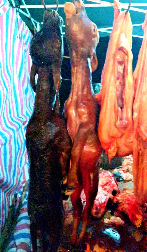 20140928_191510.jpg