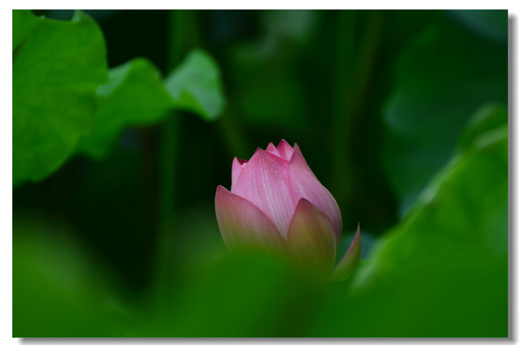 DSC_5910.jpg