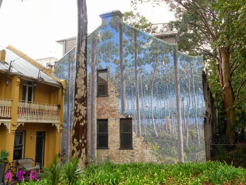 IMG_1013Surry Hills.JPG