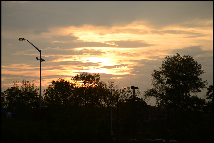 DSC_3713.jpg