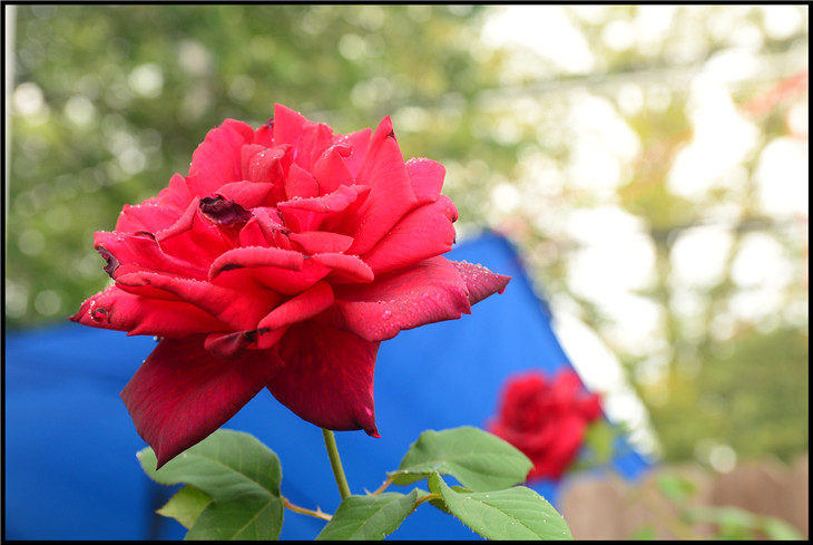 DSC_3644.jpg