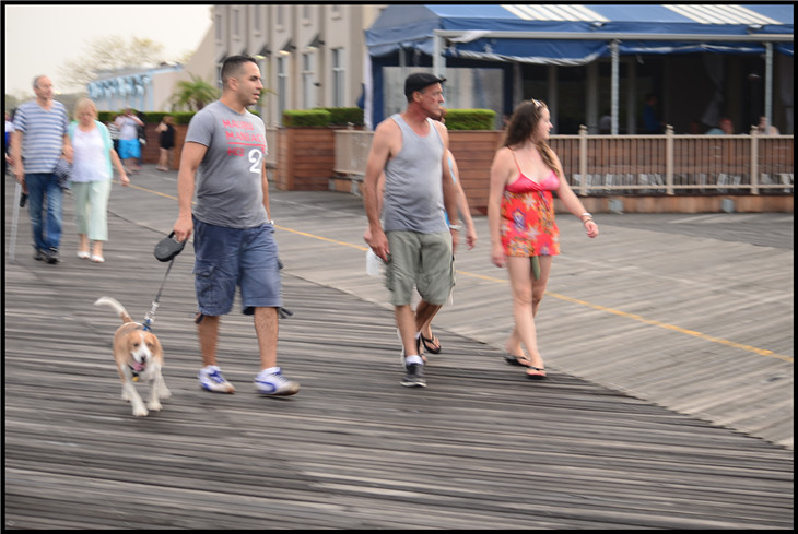 DSC_3716.jpg