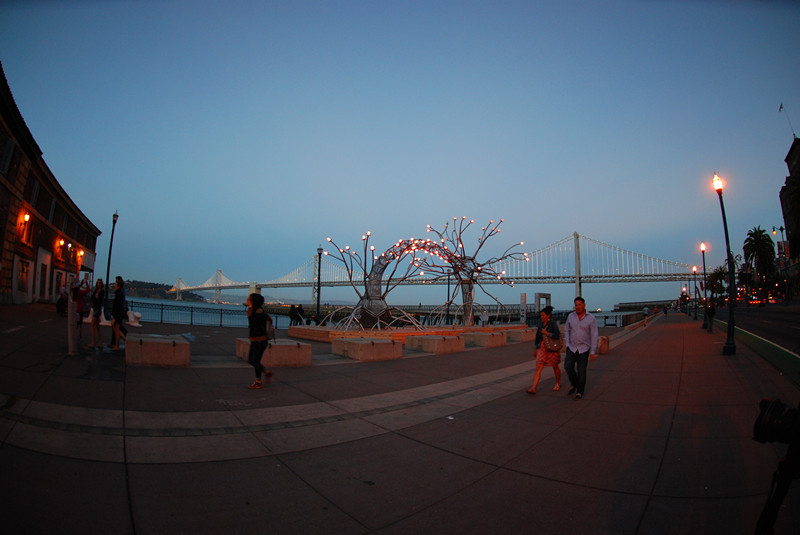 DSC_0345_.jpg