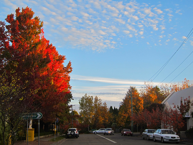 DSC_0092.JPG