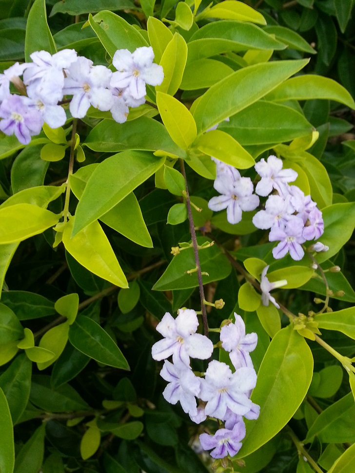 20140925_064320.jpg