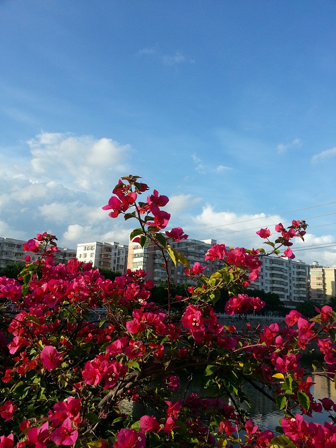 20140827_070802.jpg