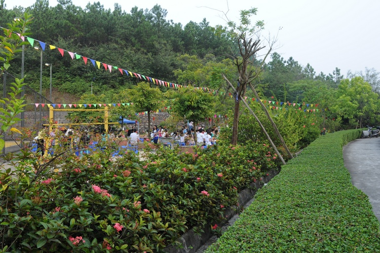 Ƭ 0501.jpg