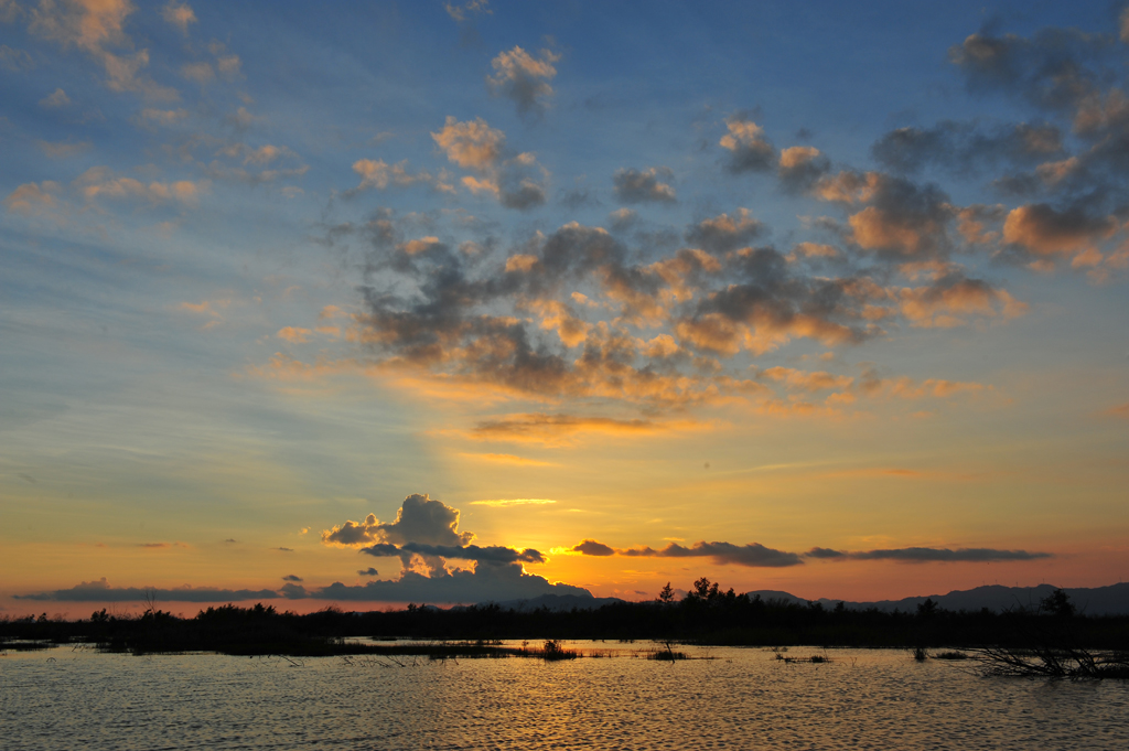 DSC_8140.JPG