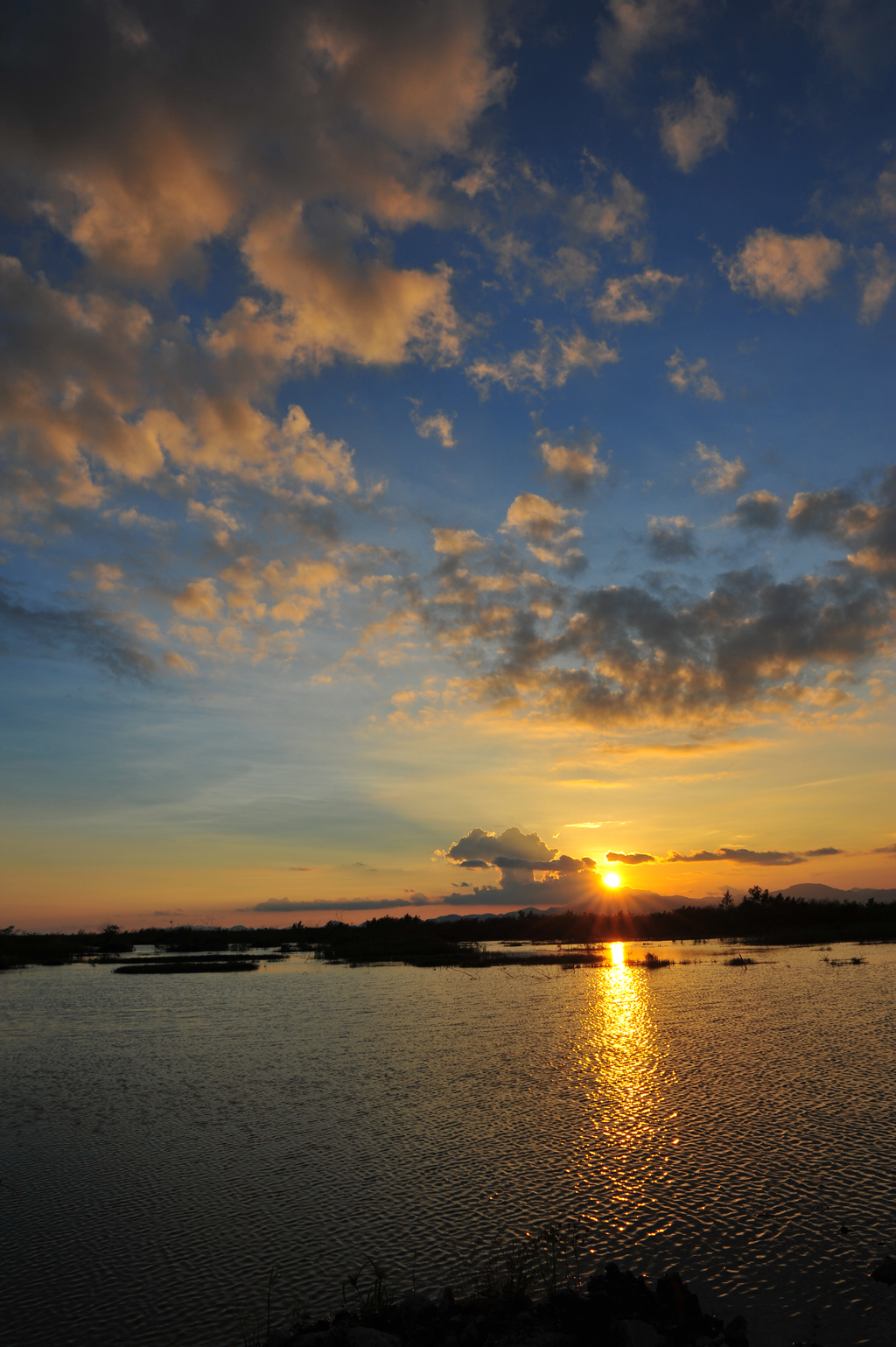 DSC_8082.JPG