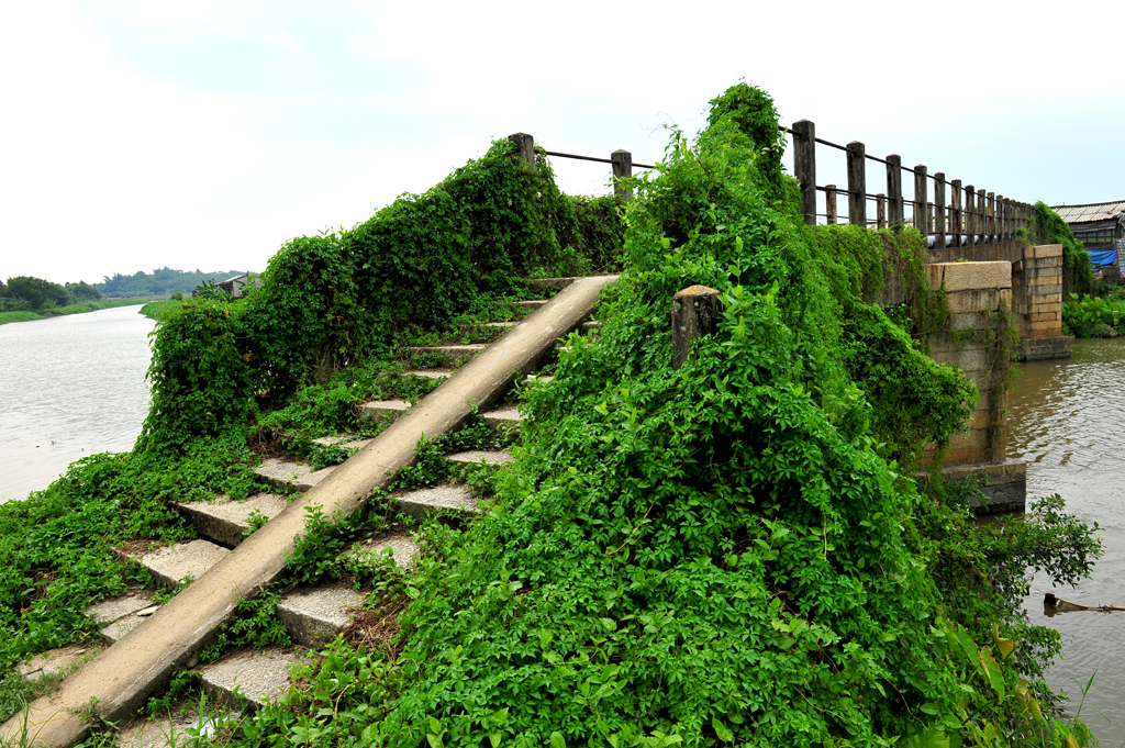 DSC_6059.JPG