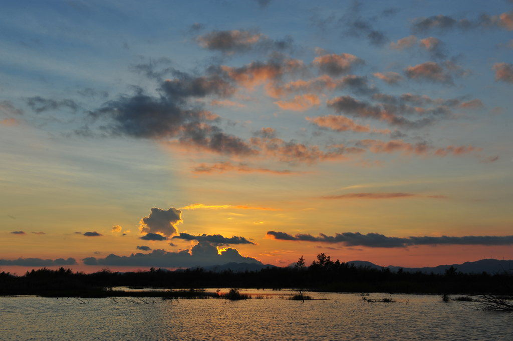 DSC_8204.JPG
