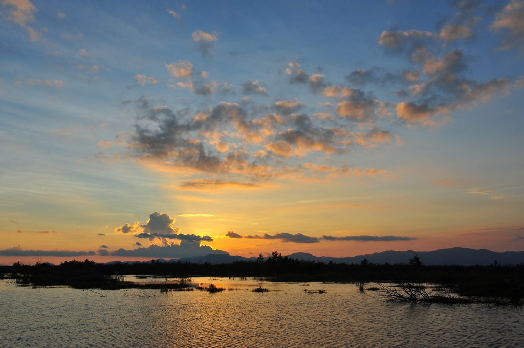 DSC_8155.JPG