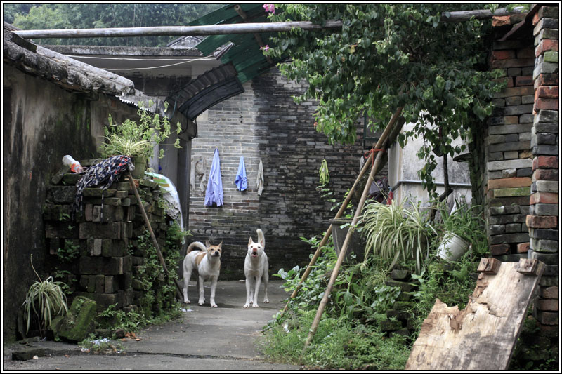 _MG_2895.jpg