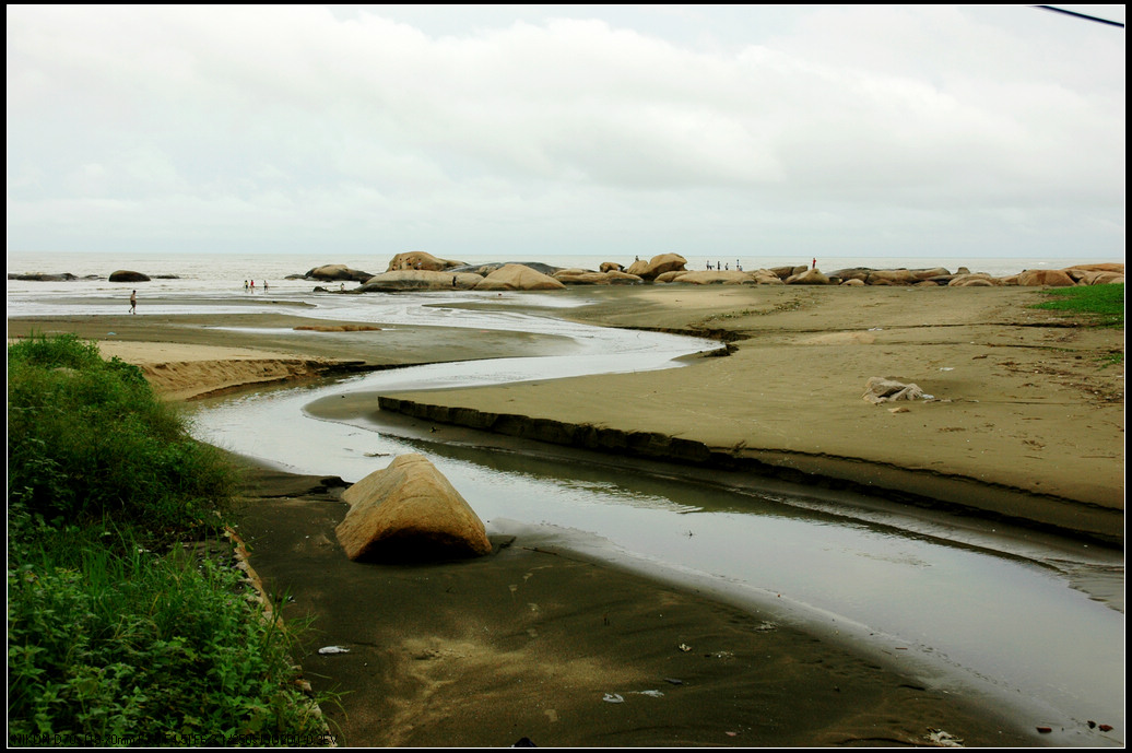DSC_6772.jpg