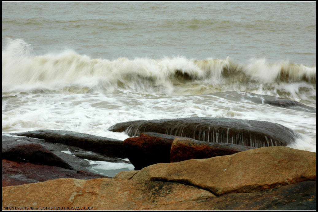 DSC_6810.jpg