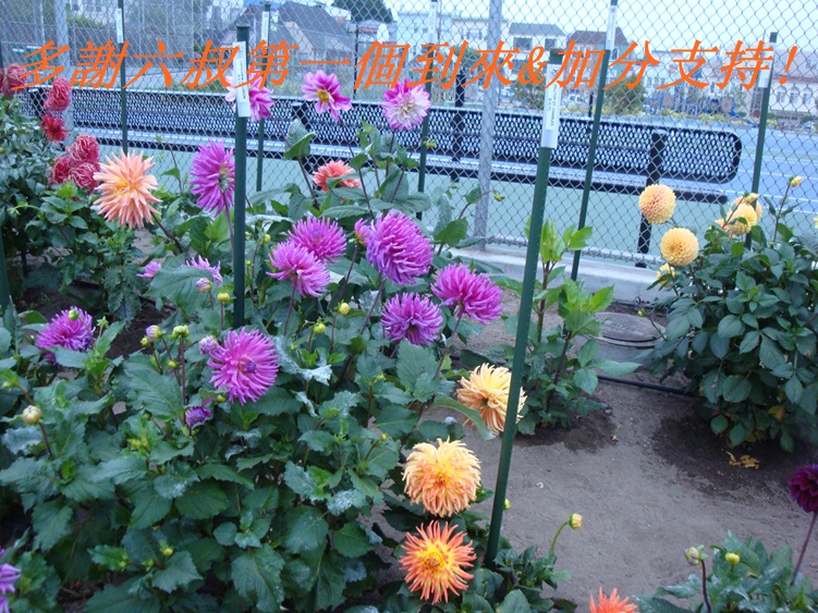 DSC04382_.jpg