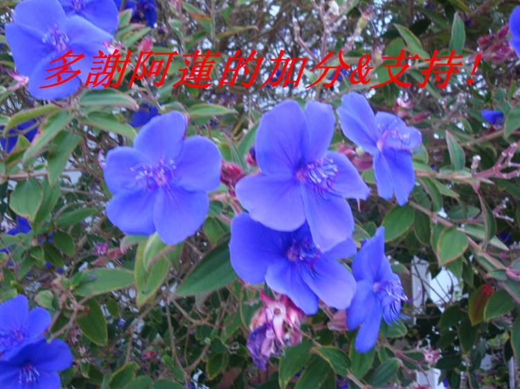 DSC04386_.jpg