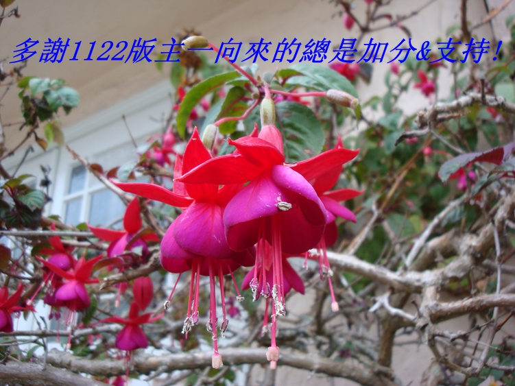 DSC04391_.jpg