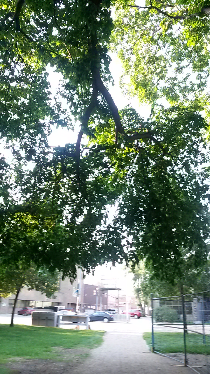 20140803_193328.jpg