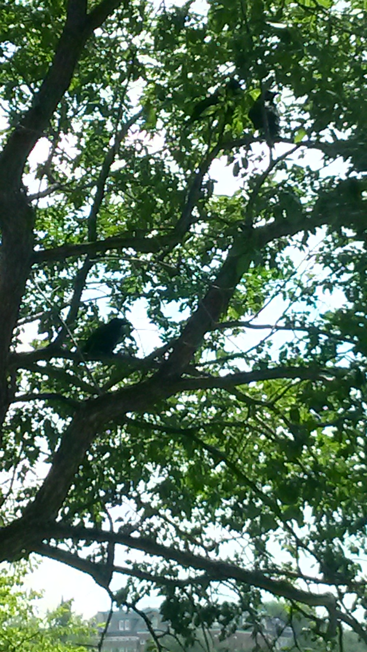 20140806_122823.jpg