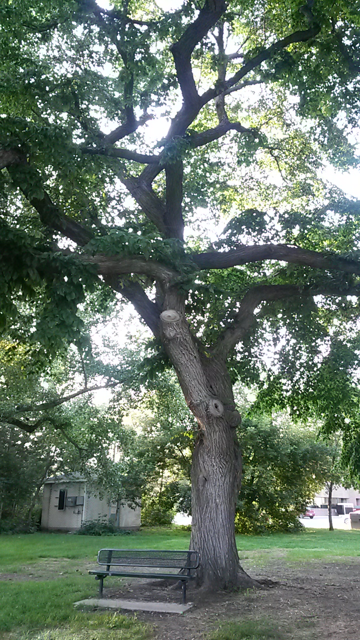20140803_193302.jpg
