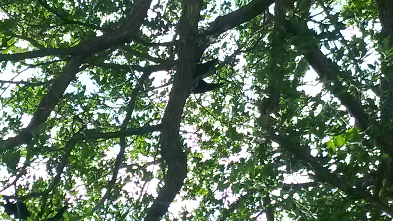 20140806_122815.jpg