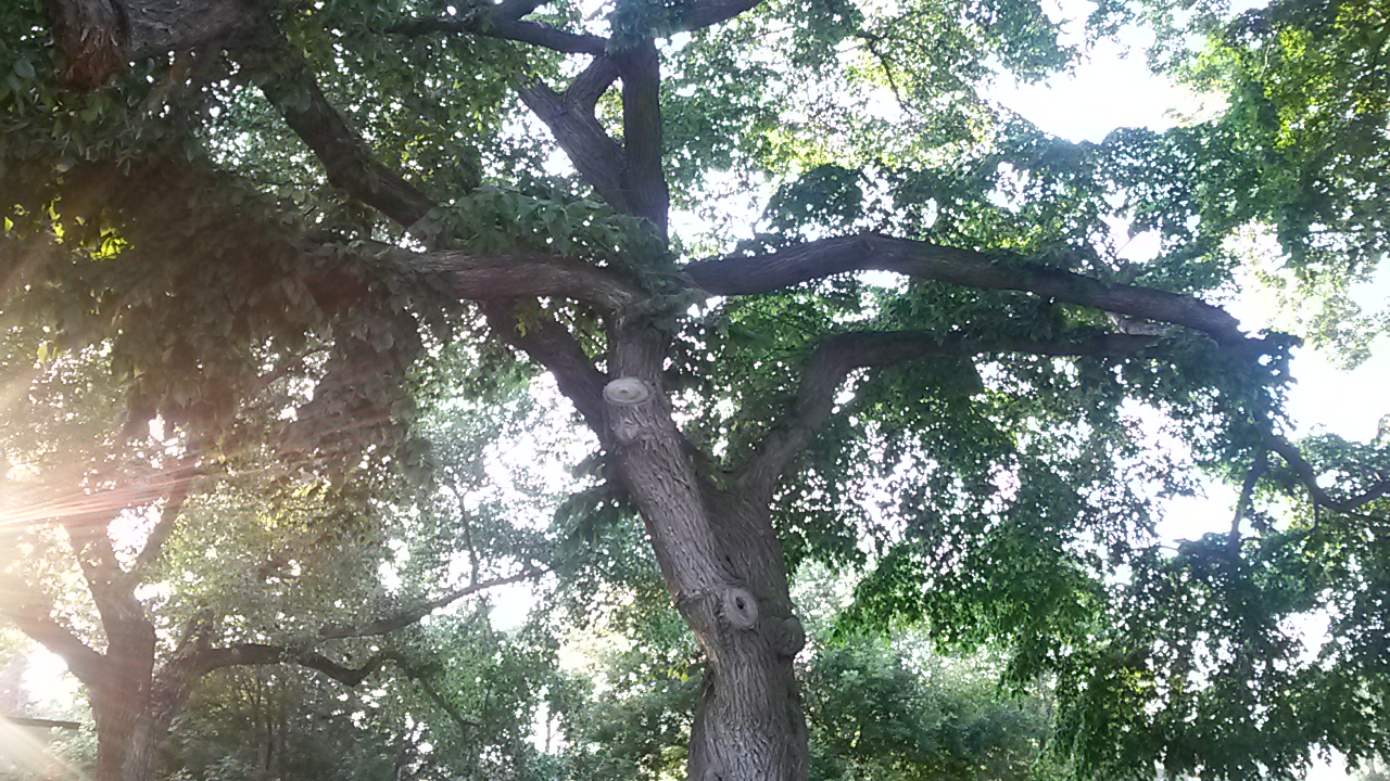20140803_193315.jpg