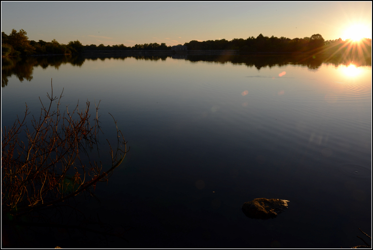 DSC_3006.jpg