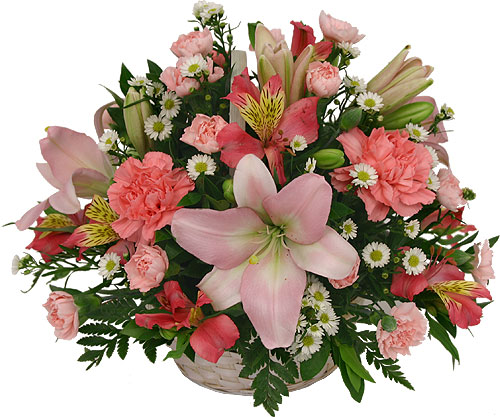 pink-and-white-flower-basket-copy.jpg