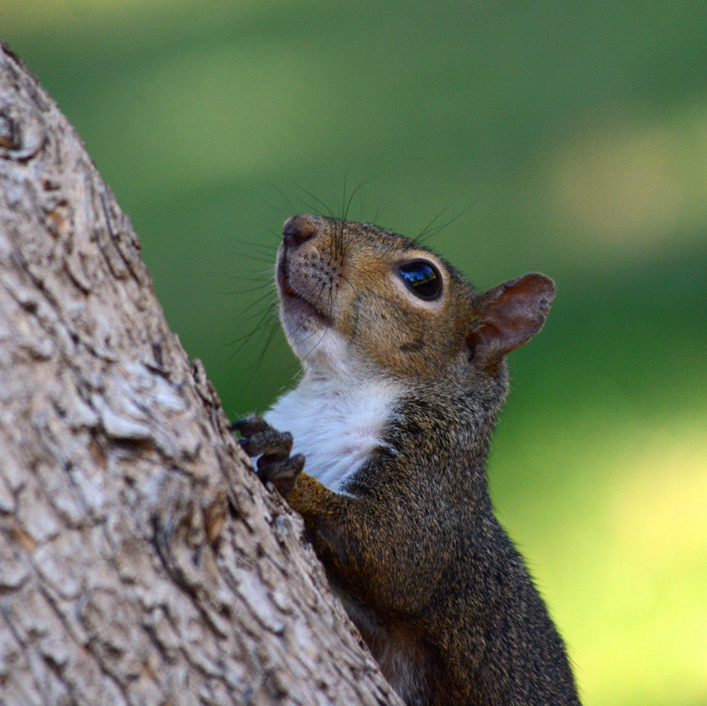 DSC_5520_6.jpg