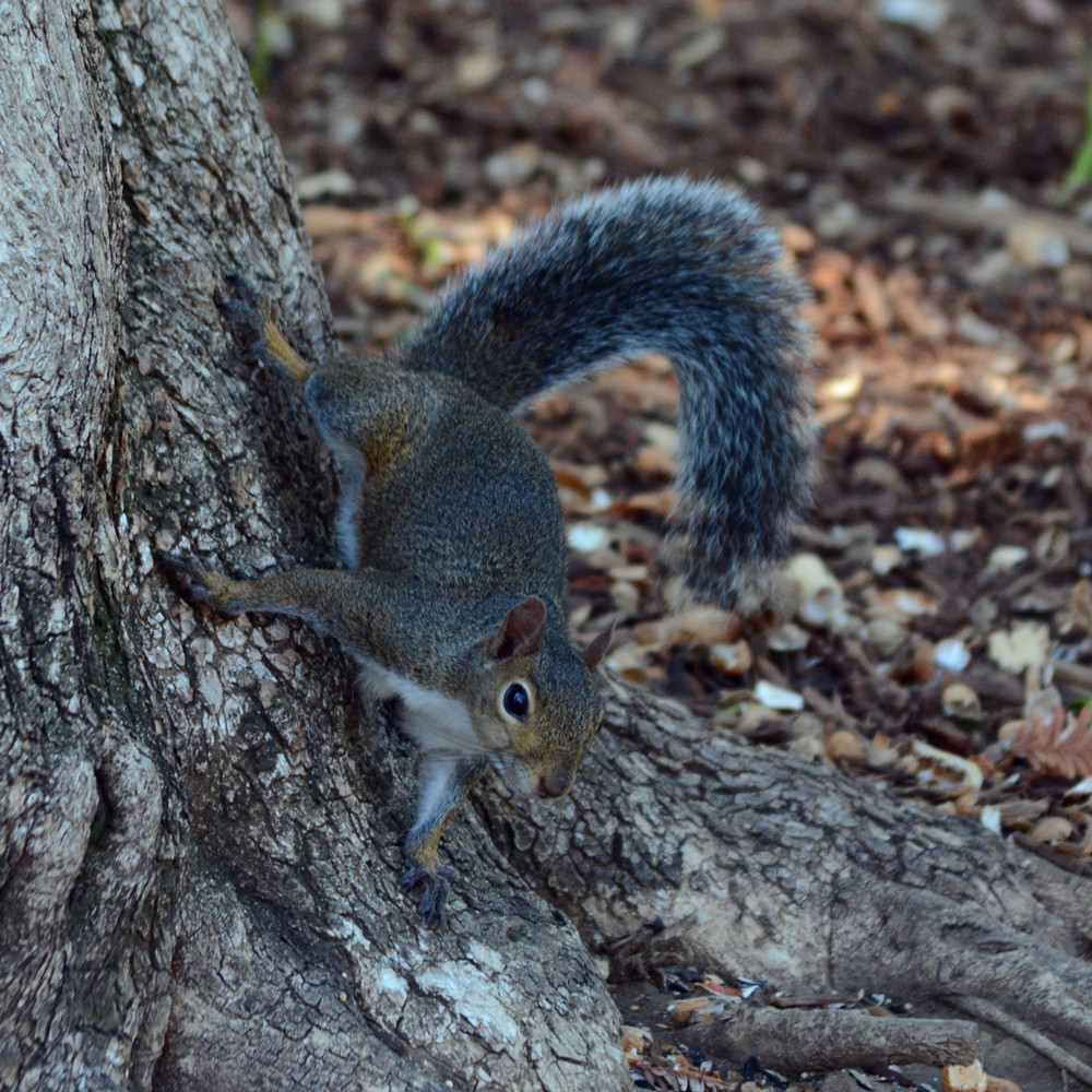 DSC_5411_22.jpg
