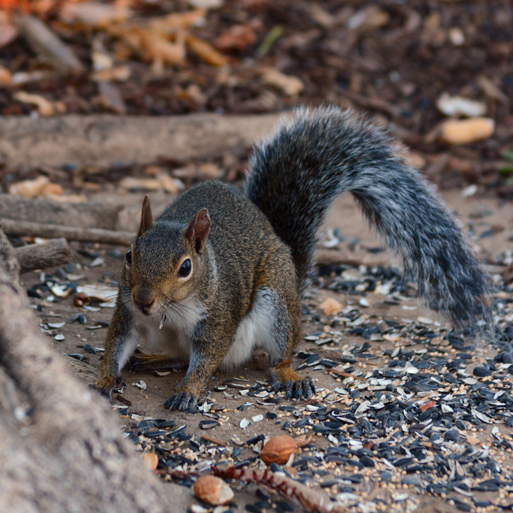 DSC_5506_7.jpg