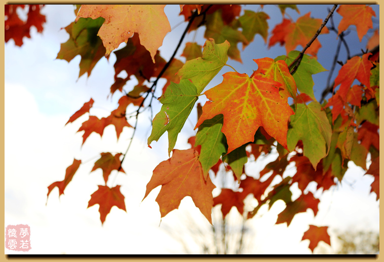 20141005 089_.jpg